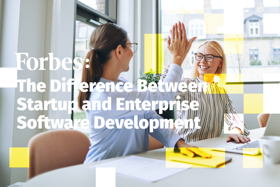The Difference Between Startup and Enterprise Software Development ...
