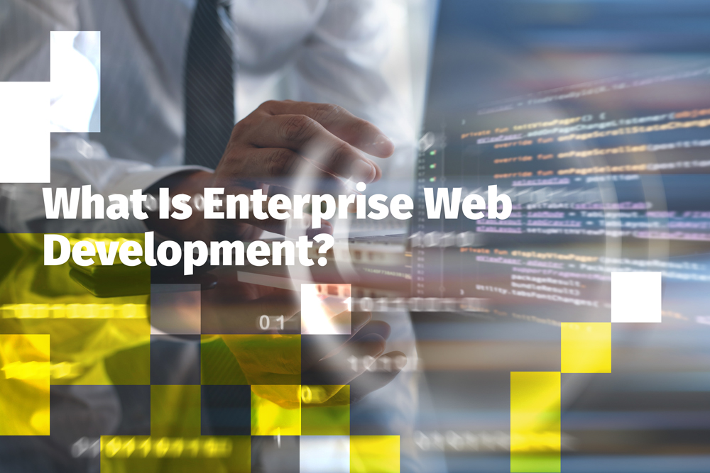 enterprise web development